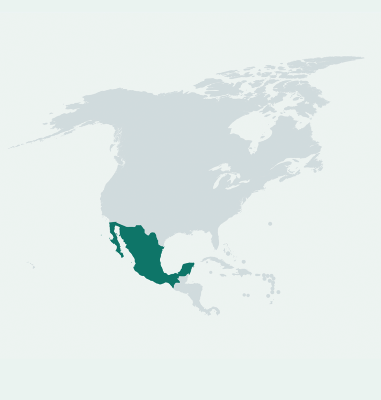 Data Deep Dive Mexico Global Health